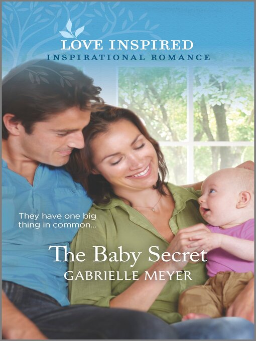 Title details for The Baby Secret by Gabrielle Meyer - Wait list